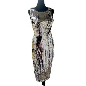 EUC Silver Sequin Dress